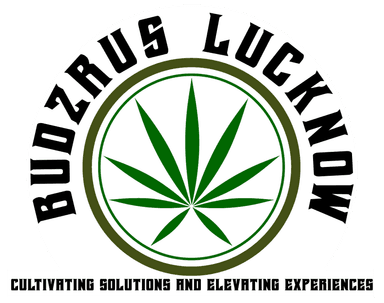 BUDZRUS LUCKNOW BUDZRUS LUCKNOW